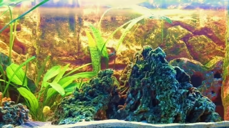 8.05.07 von Dennis V12 (3)