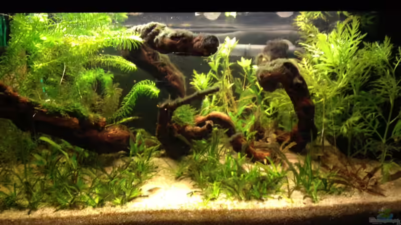 8.1.12 von Andrea Rüter (9)