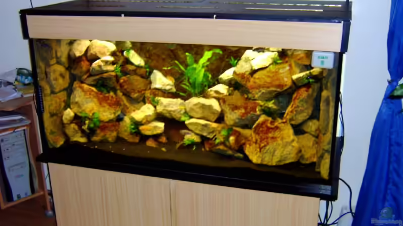 8.10.06 - es haben sich schon schön Algen angesiedelt von Robert Dietrich (4)