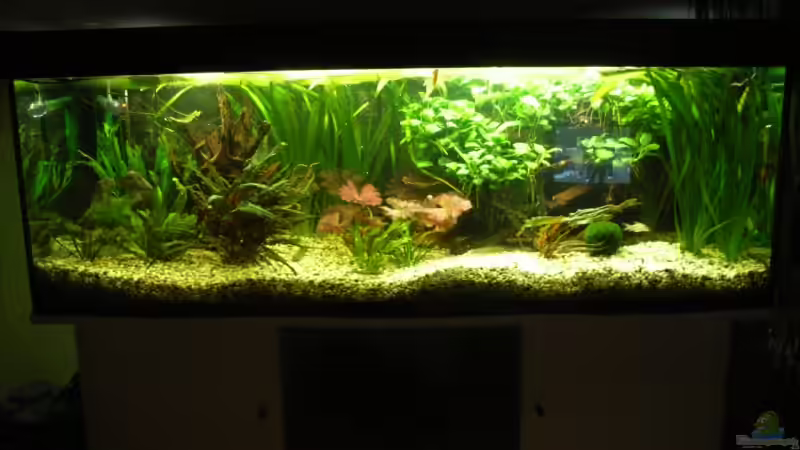 8.11.07 von Oliver Czaika (3)