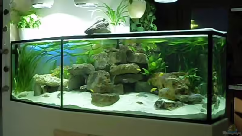 8.2.2010 Ansicht von Mats (40)