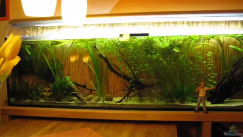 8.3.2009 von Andrea (12)