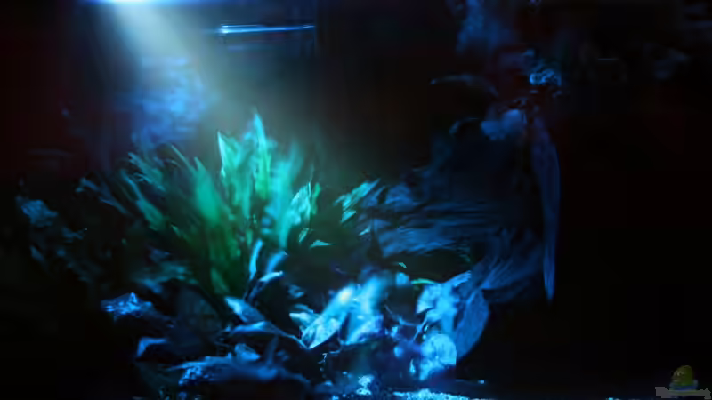 8 LED in einer Lampe - ein schöner Mondschein von Minzi (24)