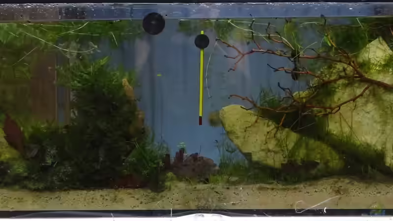 8 Monate von paris (13)