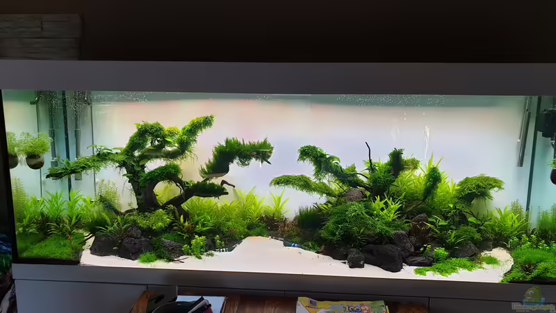 8 Wochen Laufzeit  von Tobi2013 (41)