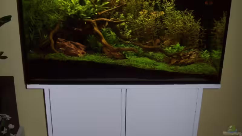 8 Wochen nach Neueinrichtung von Gunnar Otte (10)