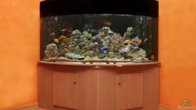 800l  tief 125 Höhe 70