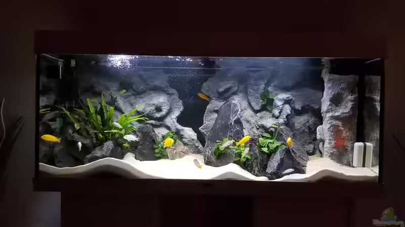 80cm Polar bei ca 60% Lichtleistung von Chrille1904 (4)