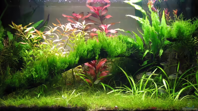 80er becken von Hanswerk (3)