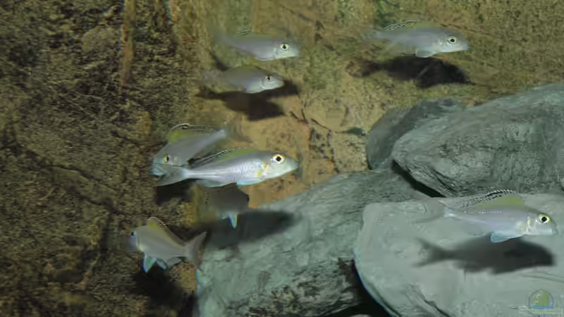 8er Truppe von Lars Schnabel (26)