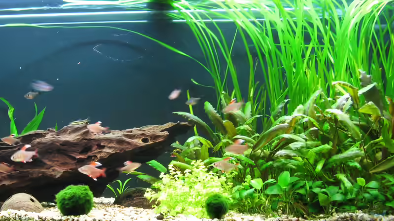 9.1.2013 von NicoleZH (8)