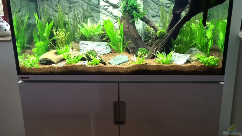 9.12.14, 4 Tage nach der Einrichtung von Fliegerle (1)