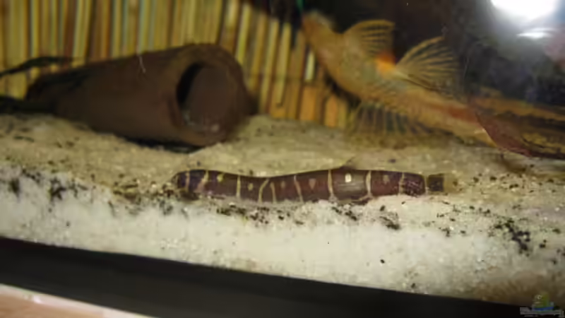 9.3.11 von Andrea (32)