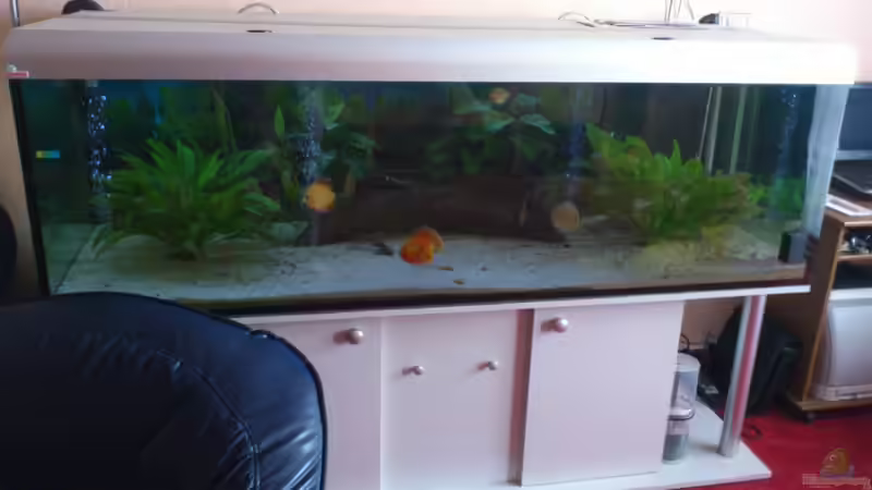 9.3.2013    bild2 von Cliff Lehmann (19)