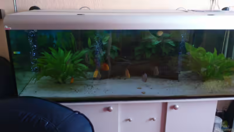 9.3.2013 von Cliff Lehmann (17)