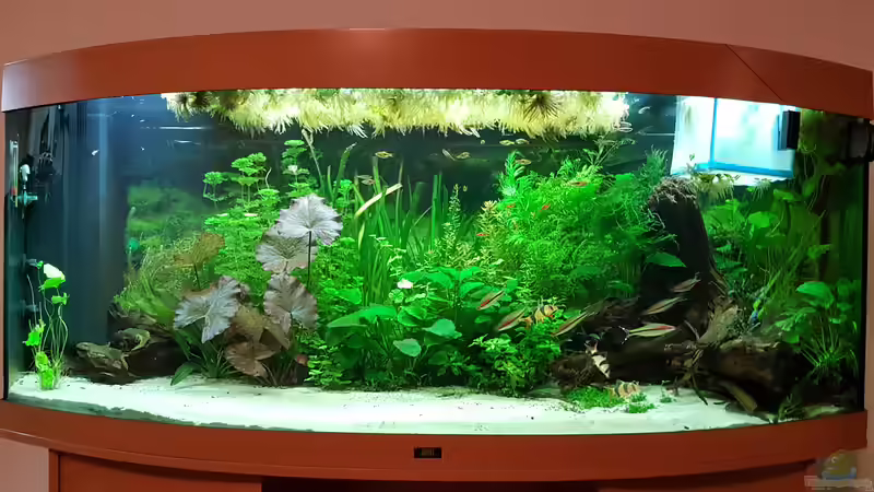 9.3.2019 von Mark1234 (2)