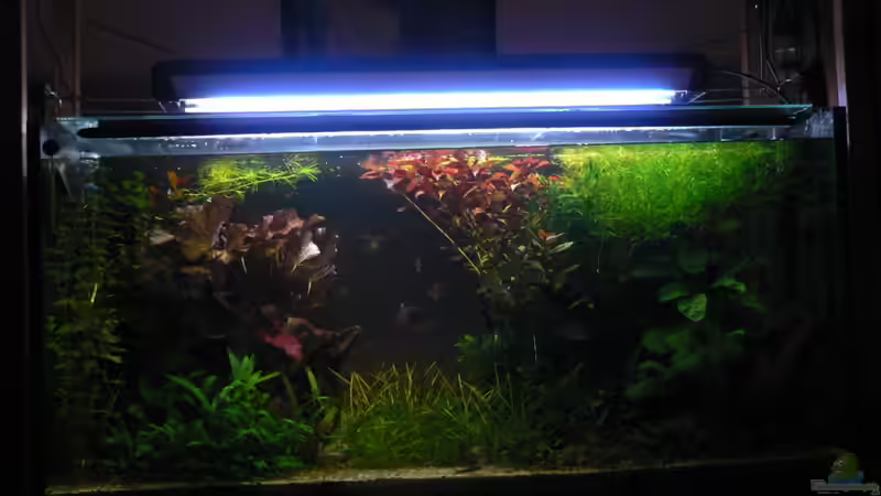 9.5.2010  Sofa von Zapfenmanderl (10)