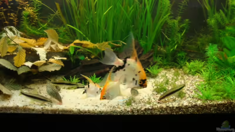 9.6.12 von Marina (2)