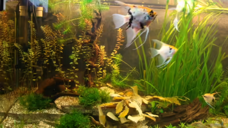 9.6.12 von Marina (3)