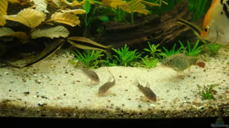 9.6.12 von Marina (4)