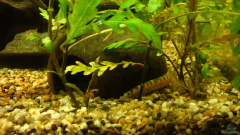 9.6.12 von Marina (5)