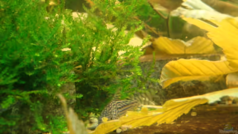 9.6.12 von Marina (6)