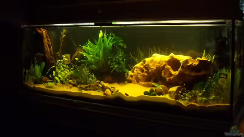 9.8. von rechts von Babsi Aud (4)