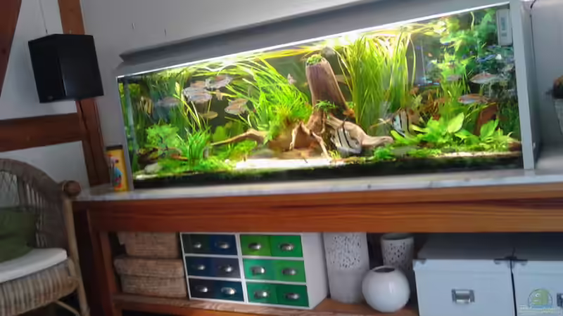 9.9.2015 Gesamtansicht von Grünhexe (87)