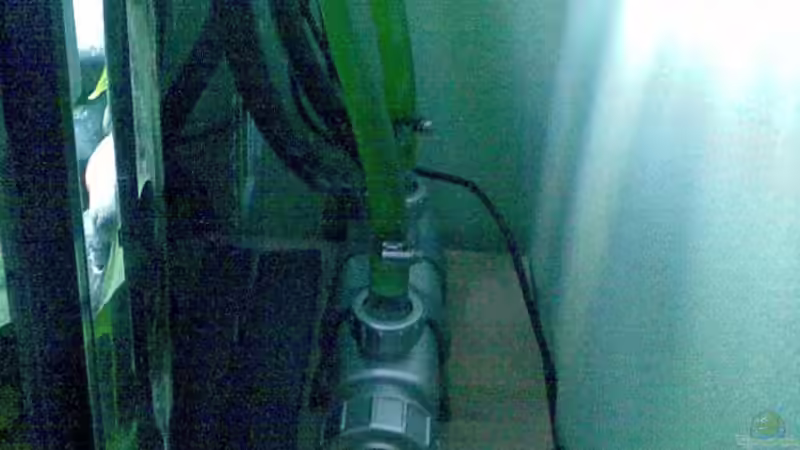 9w UV-C Filter seitlich vom 3 Kammerfilter von Michael Geigel (12)