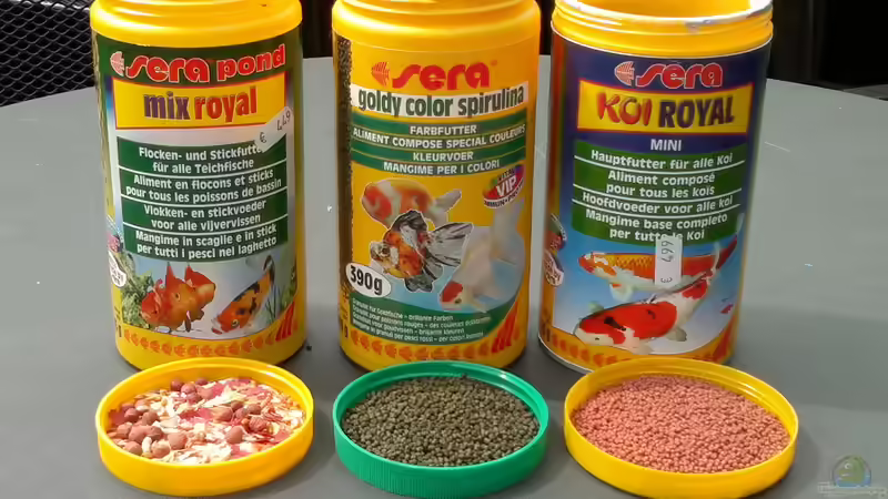 A la Carte: Ergänzung des im Teich vorhandenen Lebendfutters von Sambia (53)