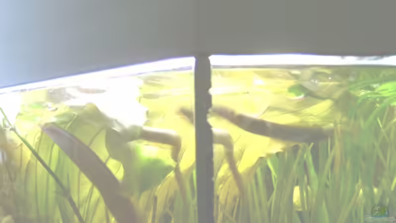 AALE :o) von Emmy Bergmann (19)