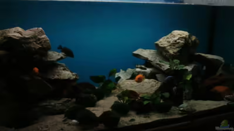 ab 20uhr von Heiko Schipke (5)