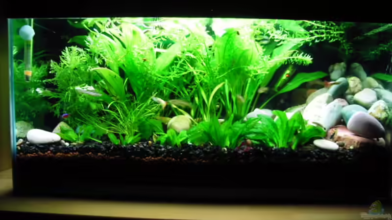 ab 21.10.2007 von Martin Kind (1)