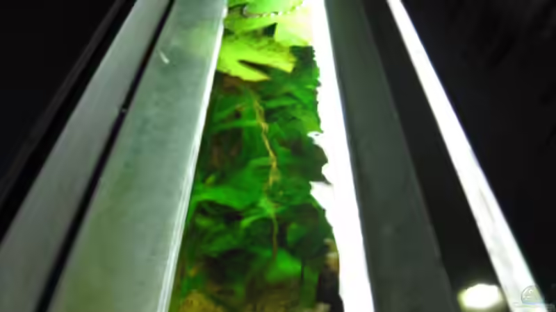 Abblenden von JBL von Korbi (28)