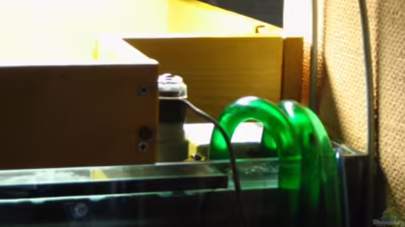 Abdeckrahmen noch ohne Fliegengitter + Ansaugbereich mit Filterschwammkartusche von Klaus Kussmann (10)