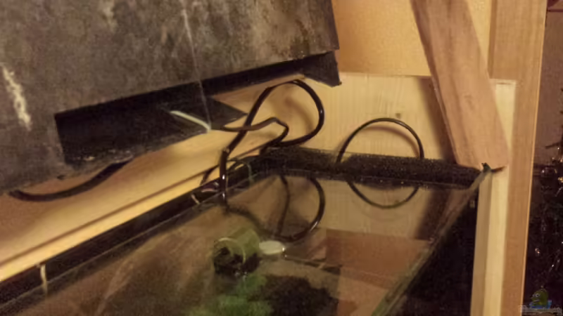 Abdeckscheibe von Lucky3310 (31)