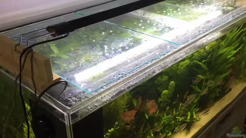 Abdeckscheiben,  Auflagen und Easyled  von schmitzkatze (2)