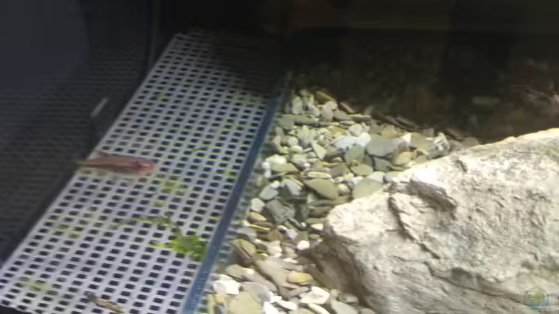 Abdeckung der Ansaugseite links. Rechts ist die gleiche Abdeckung, welche die Ausstromseite von pacho (34)