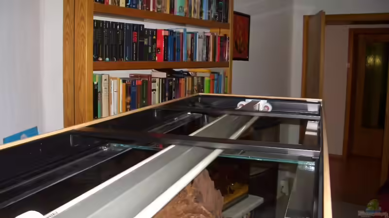 Abdeckung geöffnet mit 2x T5 80W von Knorpelfisch (26)