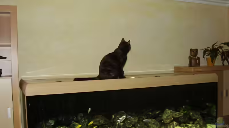 Abdeckung hält ! von Kresimir Prpic (1)