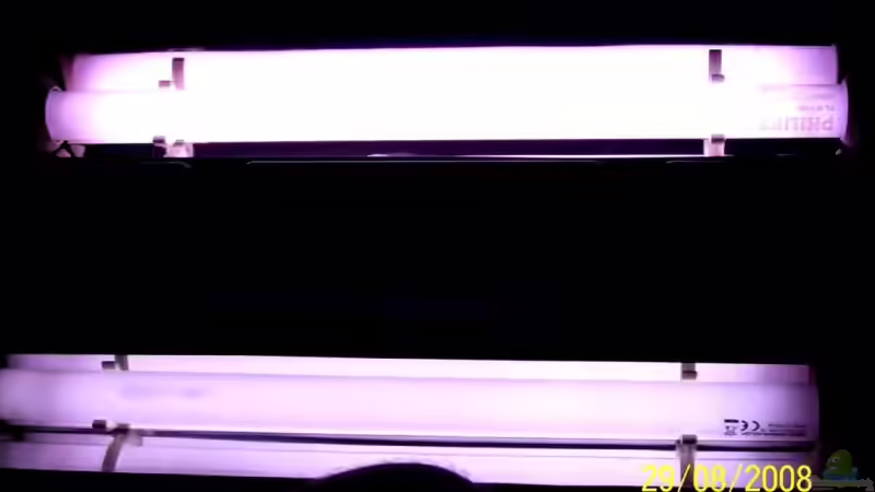 Abdeckung mit integrierter 2*15 Watt-Beleuchtung mit Reflektoren von Thomas Schmidt (27)