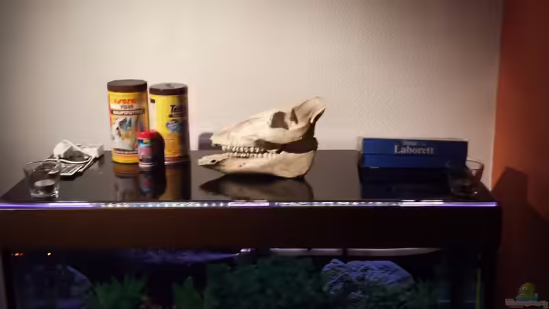 Abdeckung noch ohne Zierleisten von Thomas Riemenschneider (15)