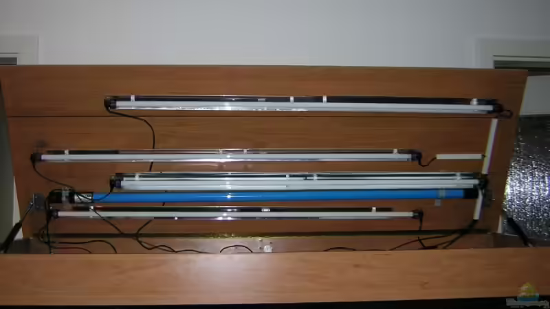 Abdeckung T5 von Antje und Daniel (23)