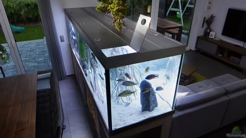 Abdeckung und Bonsai von LEDaquaristik.de (8)