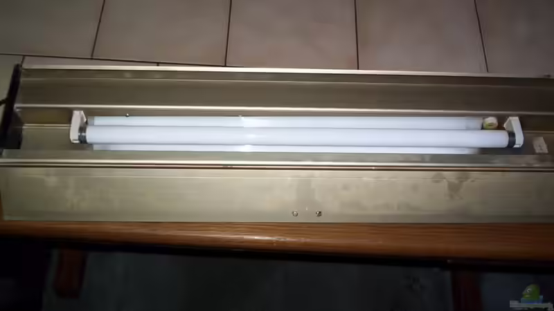 Abdeckung von Didi (29)