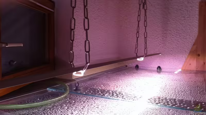 Abdeckung von matthiasm (6)