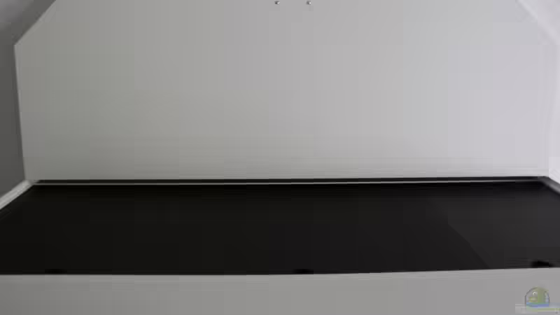 Abdeckung von Michael Reiz (38)