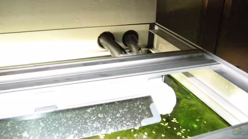 Abdeckung von Sado-Uwe (15)