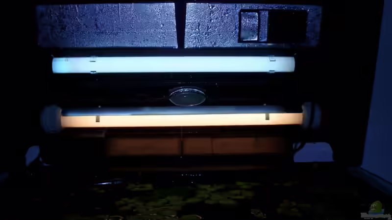 Abdeckung von unten, 2x15 Watt Beleuchtung von ~Marco~ (37)