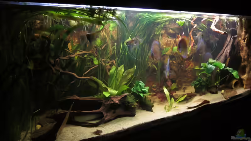 abdunkeln2 von maxarl (12)